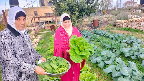 Palestinian women in front of their vegetable gardens, holding their harvest.